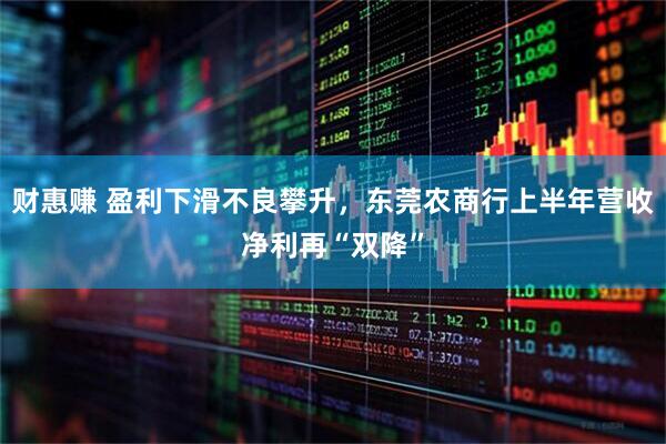财惠赚 盈利下滑不良攀升，东莞农商行上半年营收净利再“双降”