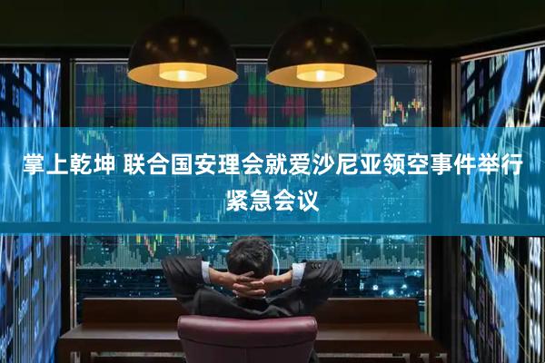 掌上乾坤 联合国安理会就爱沙尼亚领空事件举行紧急会议