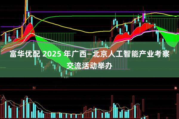 富华优配 2025 年广西—北京人工智能产业考察交流活动举办